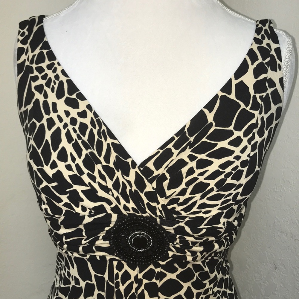 En Focus Dress